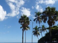 Clima mayormente soleado este lunes; se esperan lluvias débiles en zonas del norte y litoral atlántico