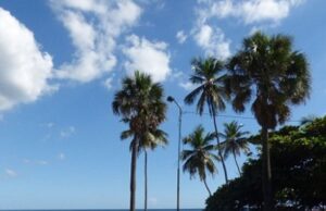 Clima mayormente soleado este lunes; se esperan lluvias débiles en zonas del norte y litoral atlántico