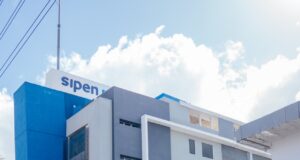 Rentabilidad del sistema de pensiones se mantiene en torno a su promedio histórico