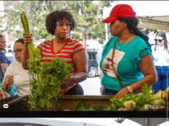 Residentes en Santiago y La Vega aprovechan ofertas en feria Inespre con las Madres