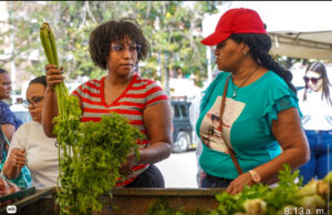 Residentes en Santiago y La Vega aprovechan ofertas en feria Inespre con las Madres