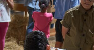 Sanut invita a vivir la experiencia “A la granja sin salir de la ciudad” este fin de semana