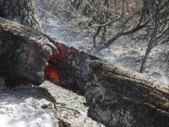 Dos muertos en incendio y el fuego sigue arrasando en España