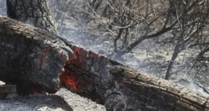 Dos muertos en incendio y el fuego sigue arrasando en España