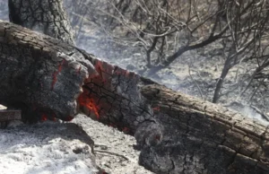 Dos muertos en incendio y el fuego sigue arrasando en España