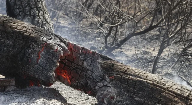 Dos muertos en incendio y el fuego sigue arrasando en España