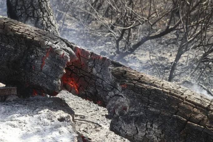 Dos muertos en incendio y el fuego sigue arrasando en España