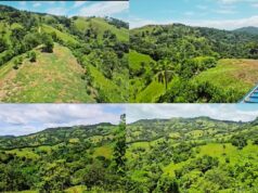 Arroyo Grande, Salcedo: Productores Piden Soluciones para Sacar la Cosecha