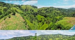 Arroyo Grande, Salcedo: Productores Piden Soluciones para Sacar la Cosecha