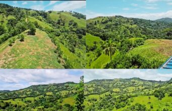 Arroyo Grande, Salcedo: Productores Piden Soluciones para Sacar la Cosecha