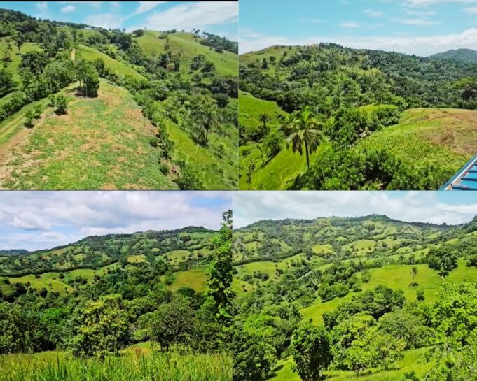 Arroyo Grande, Salcedo: Productores Piden Soluciones para Sacar la Cosecha