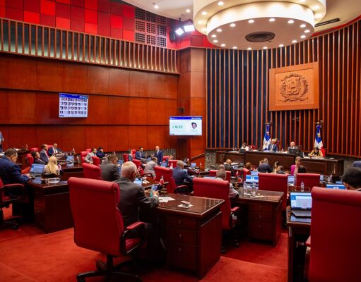 Senado aprueba en segunda lectura modificación a la ley sobre bienes incautados