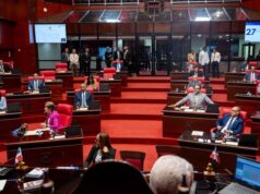 Senado aprueba en primera lectura reforma policial con sanciones más severas y nuevos controles al uso de la fuerza